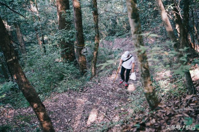 日本枯山水哪里最多,日本十大自然风光