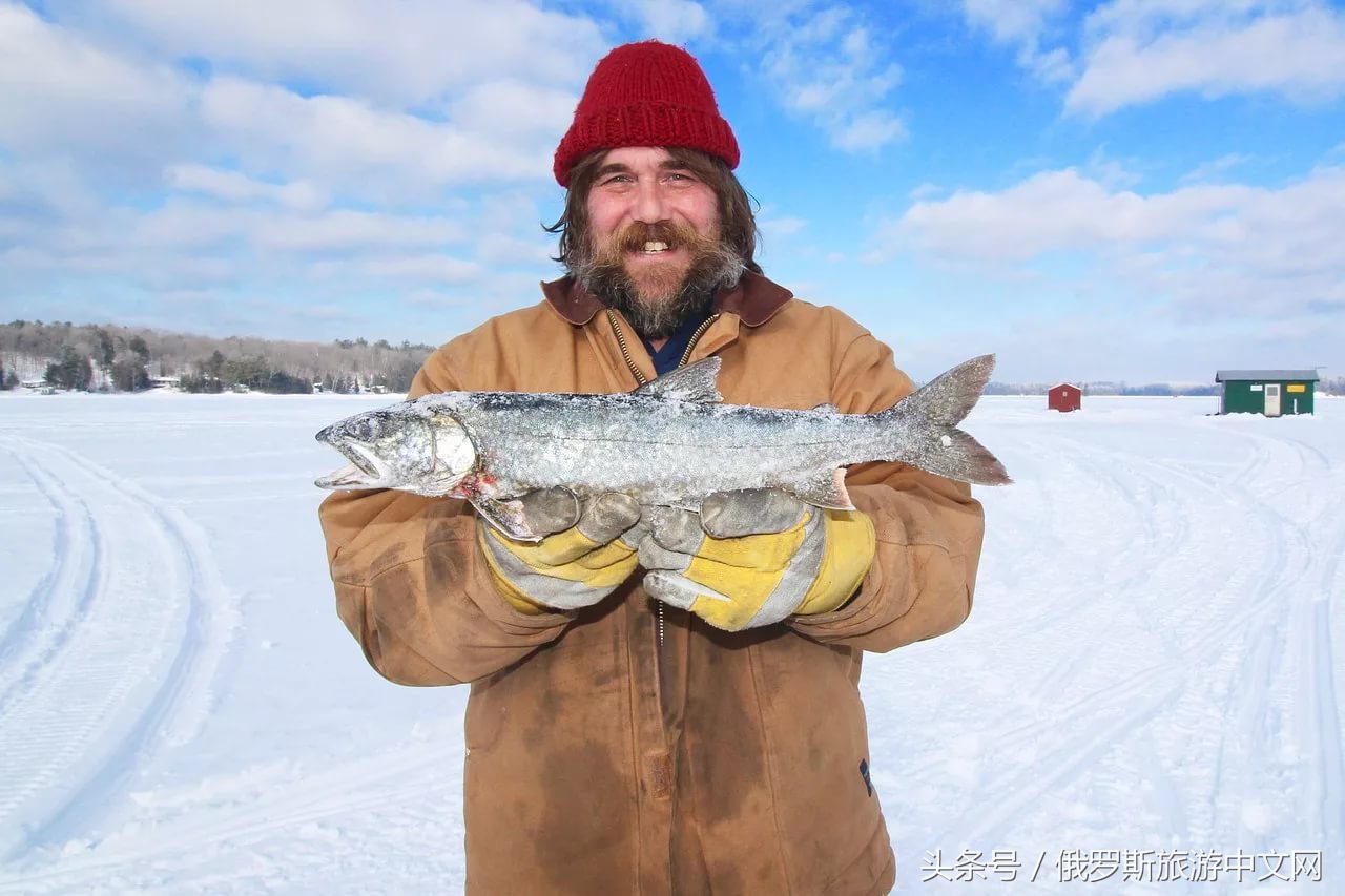 坑人的坑,坑人的坑在哪里
