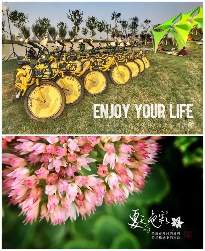 手机摄影要掌握的app,不用电脑的手机摄影app推荐