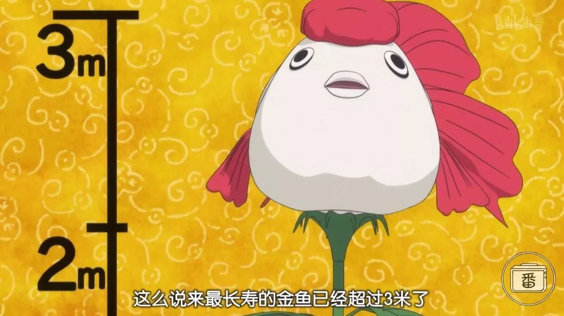 特别下饭的神剧,下饭神剧搞笑国产