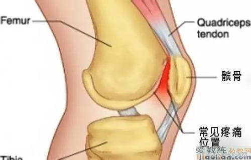 林书豪韧带康复训练方法,林书豪经常做的腿部力量训练