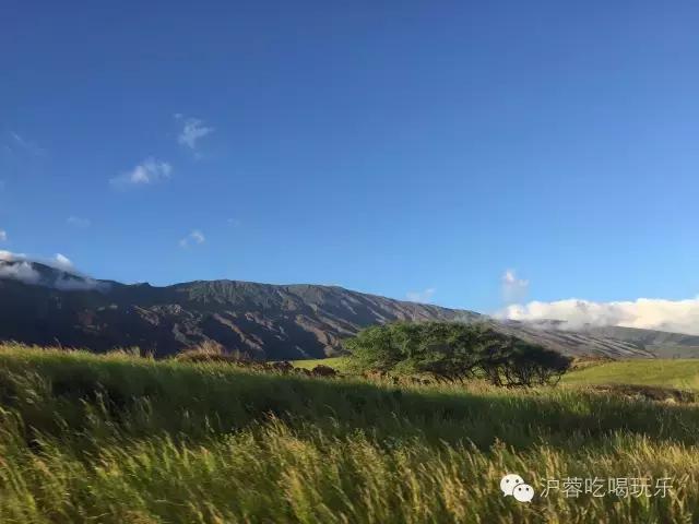 夏威夷之旅旅游攻略,13天旅行两个人多少钱预算