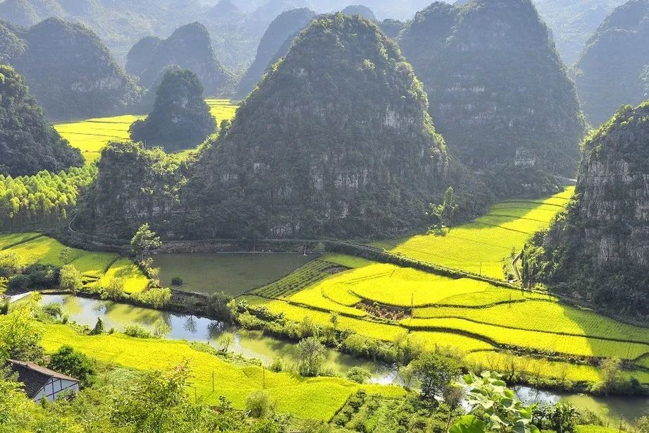 北方已经初冬了，贵州的这些地方秋意正浓，现在去正当时！