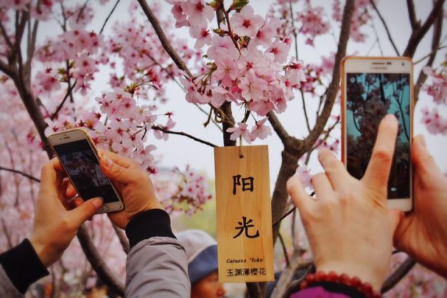 眼前所见皆是风景,走过的都是风景留下的都是故事