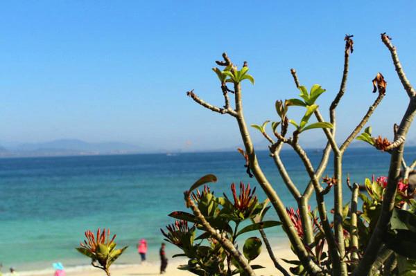 我到过许多地方是指哪里,我去过的地方皆是你看过的风景