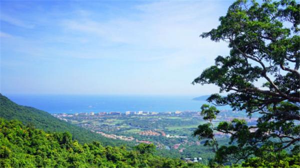 我到过许多地方是指哪里,我去过的地方皆是你看过的风景