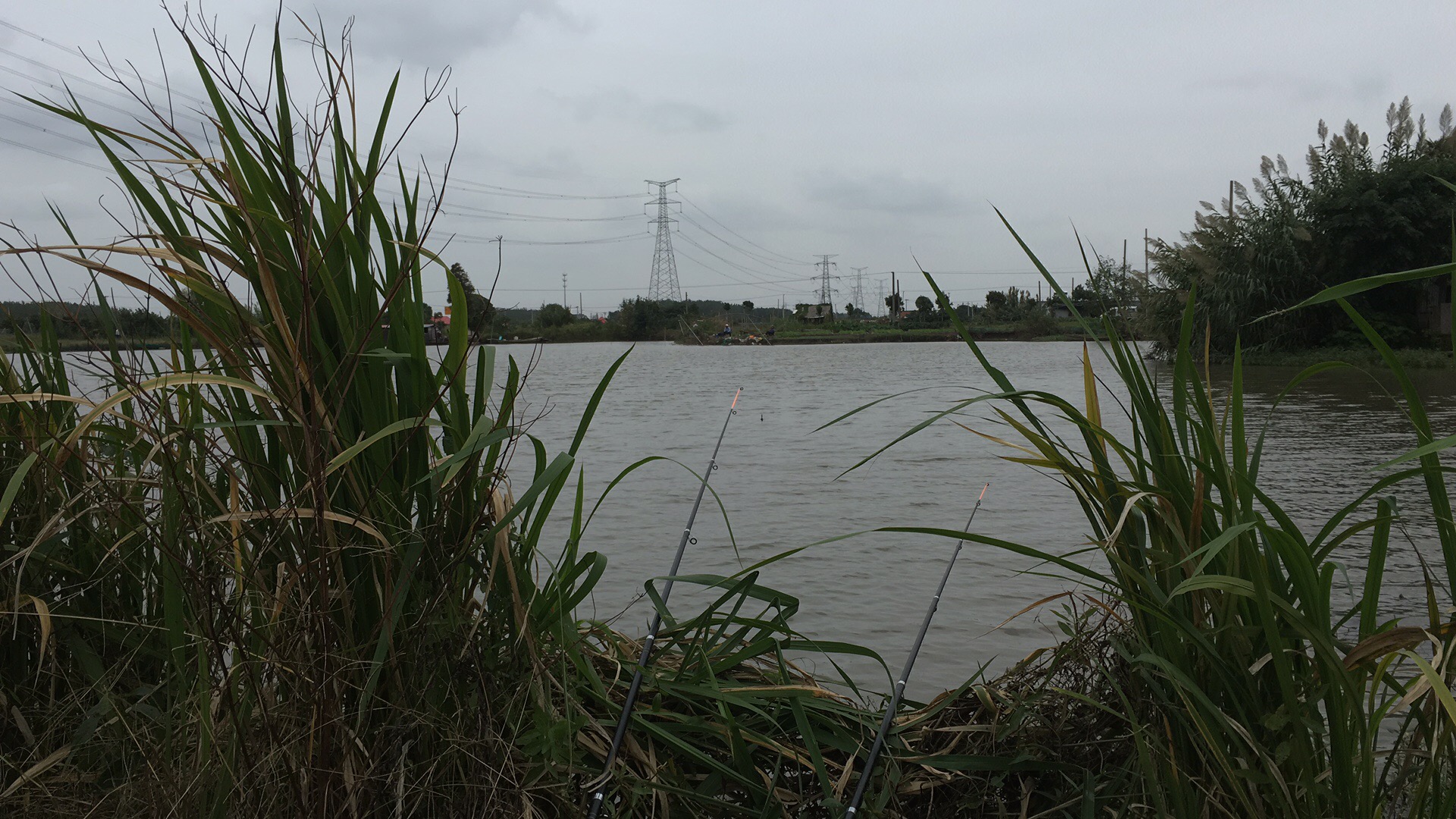 抛竿饵料哪几种好,抛竿抛偏了怎么纠正