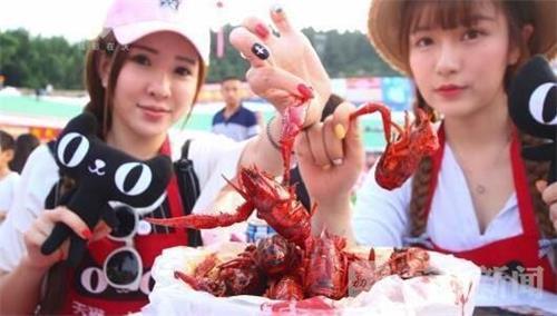 养龙虾到底赚不赚钱,养龙虾是骗局吗