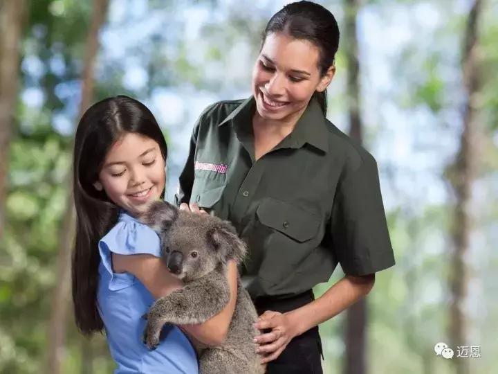 想去澳洲看大堡礁和考拉,昆士兰州大堡礁