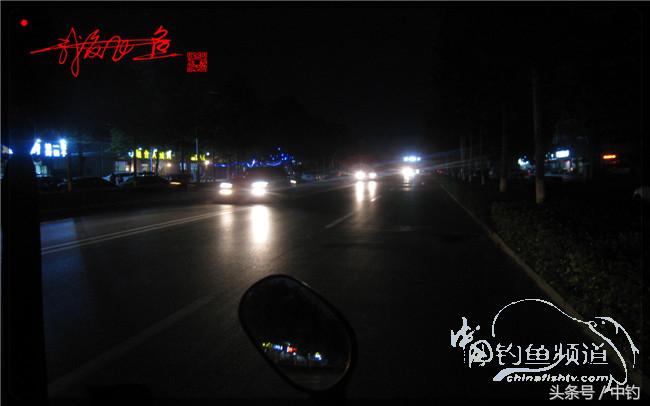 狂拉大板鲫的快乐,狂拉小鲫鱼钓鱼视频