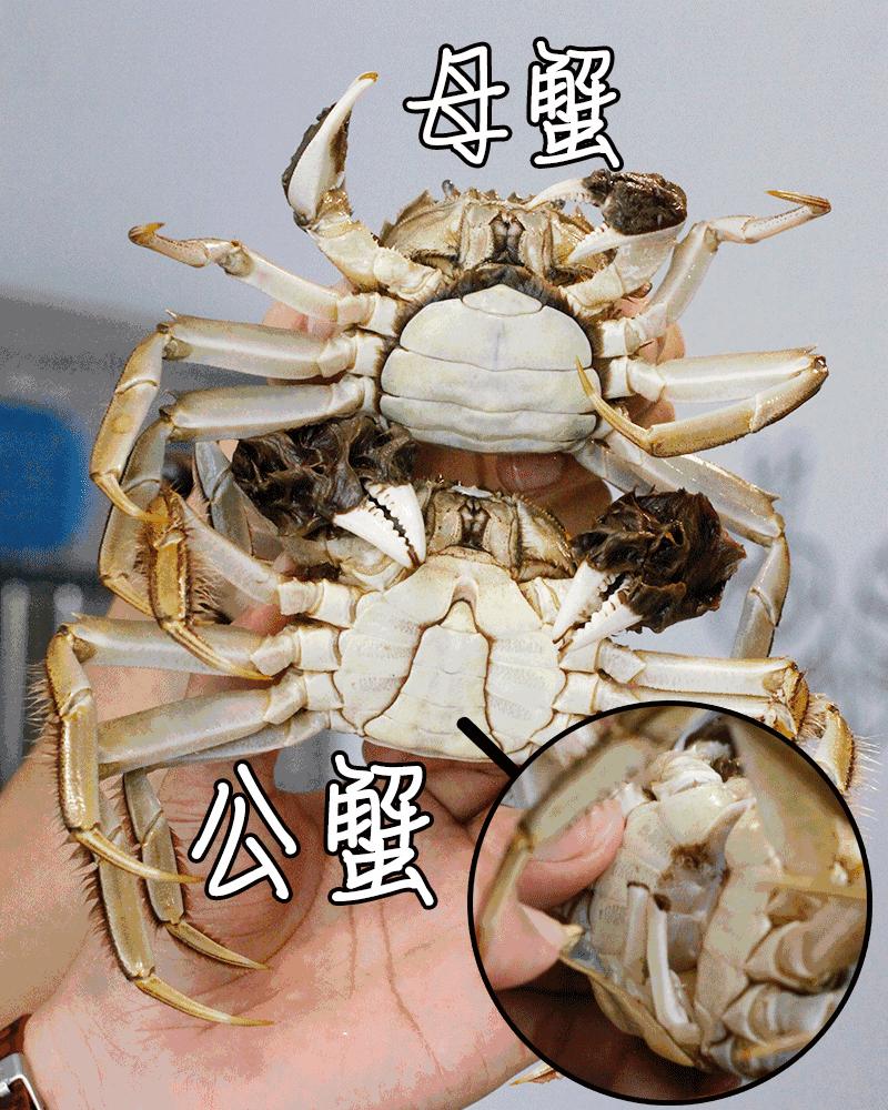 昆明张先生吃完螃蟹，第二天下不了床！这个问题你也有