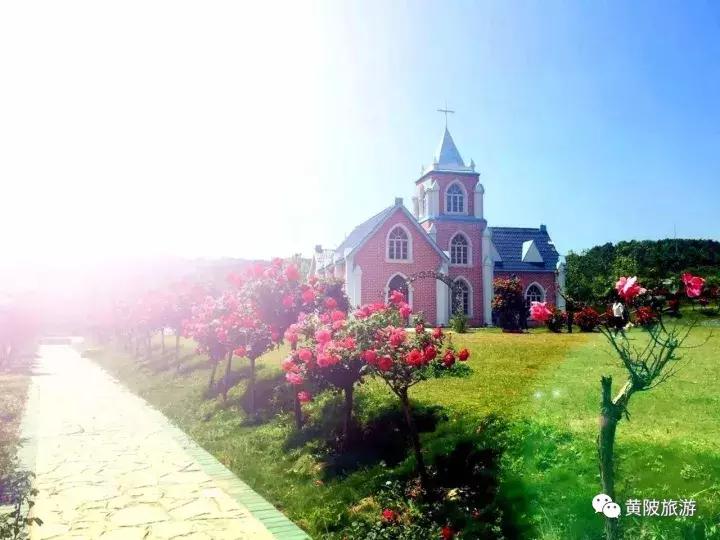 达人招募武汉,全国招募旅游达人直播