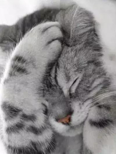 石家庄高中放假时间2022寒假通知,石家庄高校寒假放假最新通告