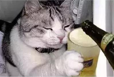 石家庄高中放假时间2022寒假通知,石家庄高校寒假放假最新通告