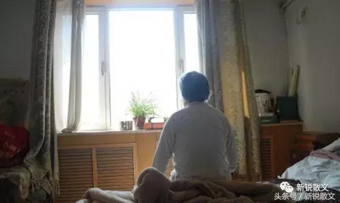 我的岳父完整版视频,我的岳父简介