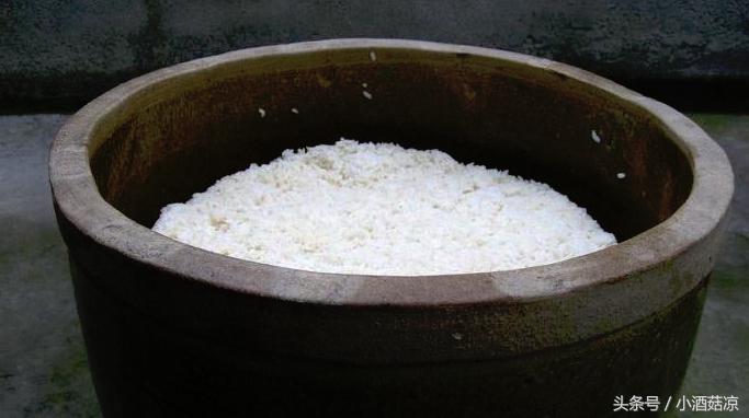 甜米酒发霉了还能吃吗,甜米酒长毛发酸原因