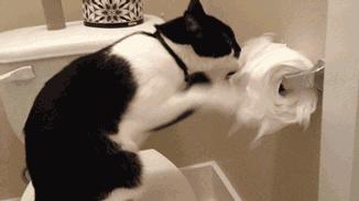 擦脸与擦屁股的纸巾可以混用吗,纸巾什么规格擦屁股