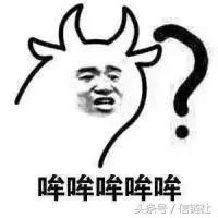 听说2天后，*币特比**又要“生宝宝”了？日本7家交易所迅速给回应