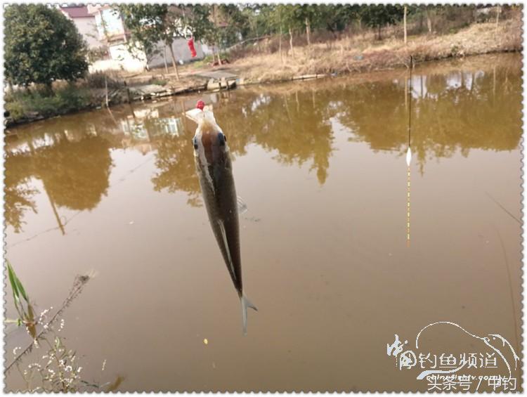 国庆节的来历,国庆头像