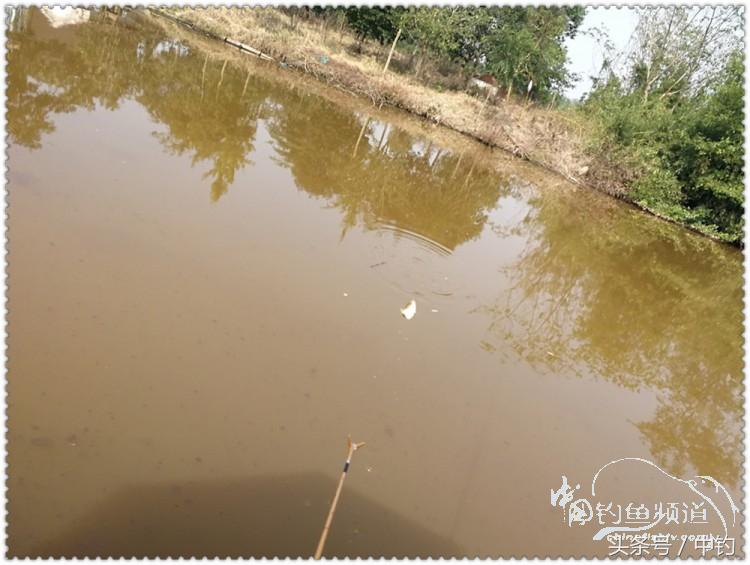 国庆节的来历,国庆头像