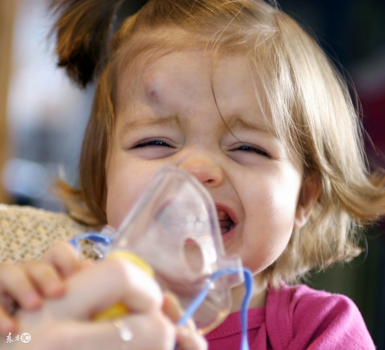 猪支原体肺炎治疗首选的药物,支原体肺炎治疗药物