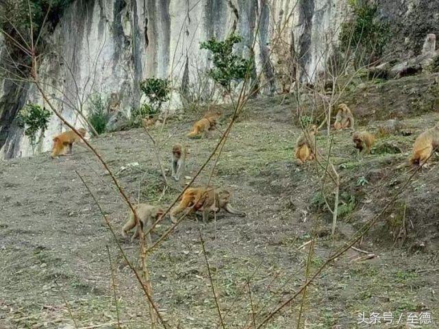 泸州深山老林景区,隐藏的世外桃源山中奇观