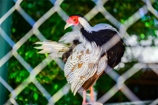 三亚看海美食攻略最值得去的地方,去三亚看海必打卡
