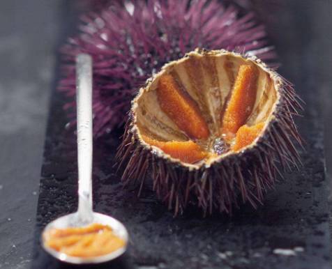 为什么大连海鲜出名营口海鲜呢,大连海鲜和青岛海鲜的区别