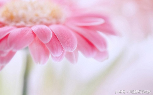 妈妈整理英语单词,幼儿英语单词爸爸妈妈