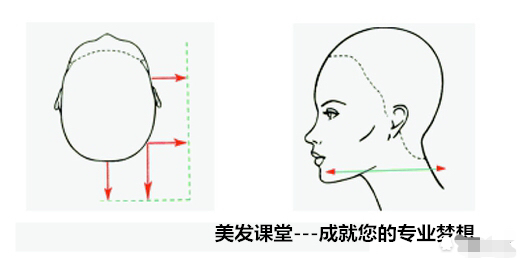 听说看了这美发沙宣理论,进理发店再也不用怕被坑了……