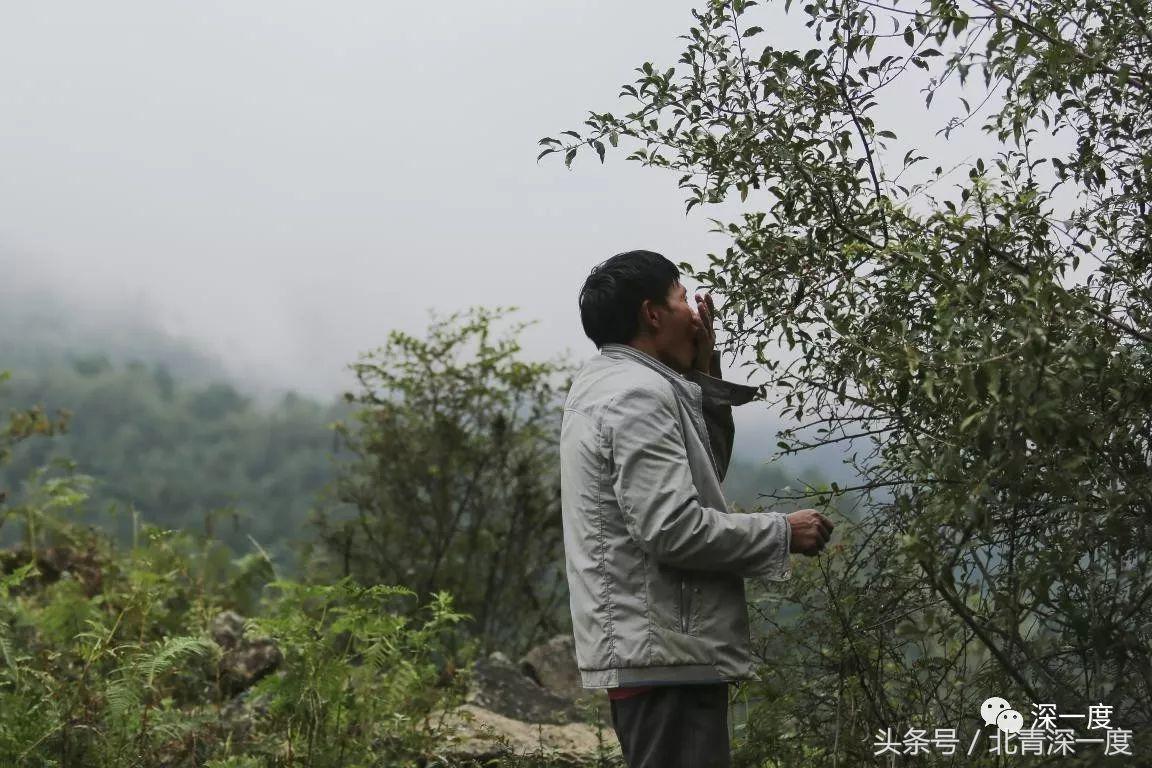 鹿晗泥坑,鹿晗在泥坑里