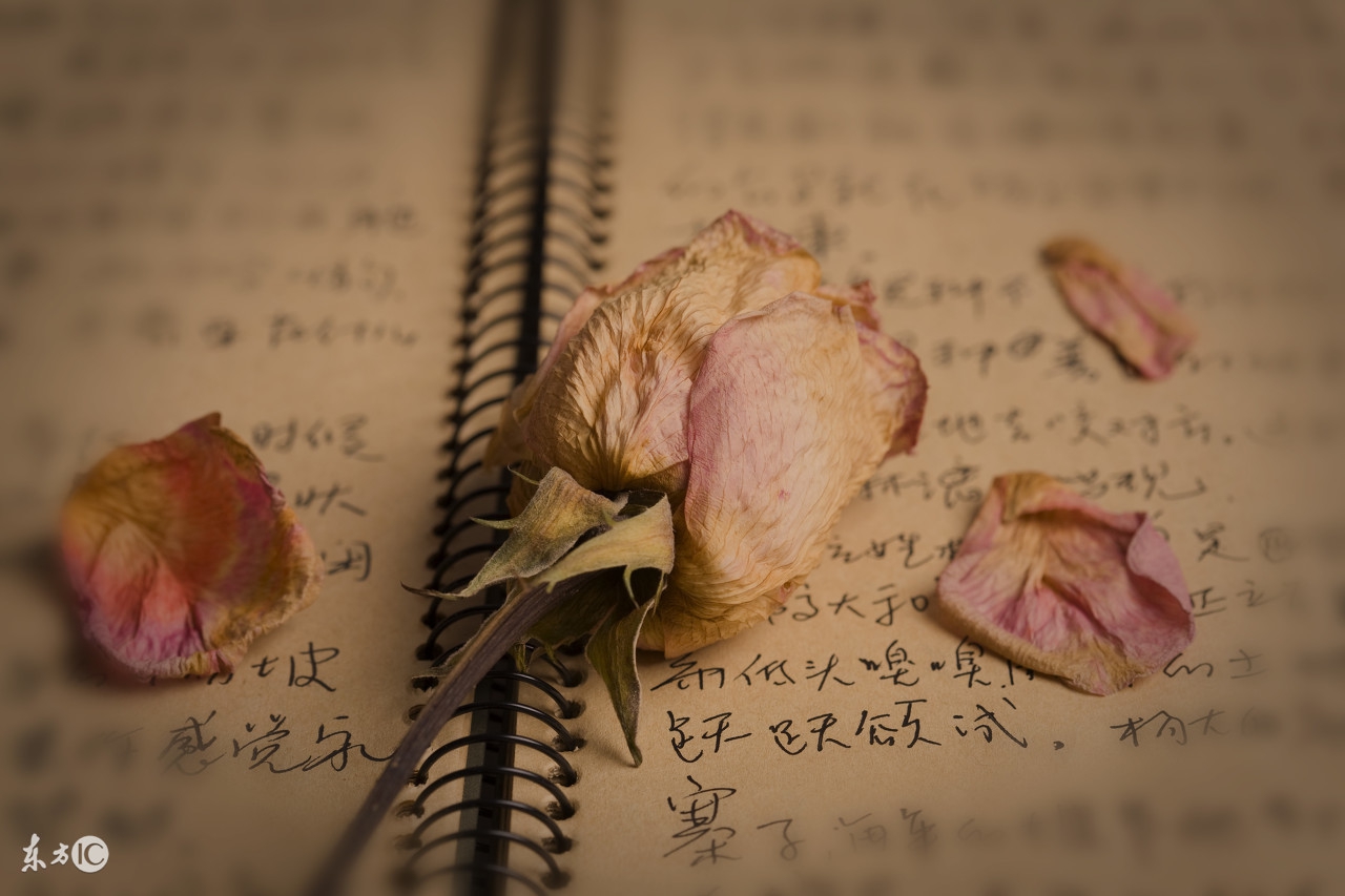 教师资格必背记忆口诀小学,小学教师资格口诀顺口溜