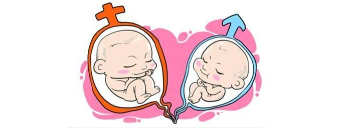 双子宫畸形是什么原因,双子宫畸形发病率