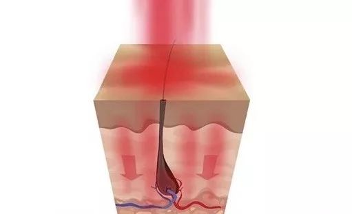 最新美容黑科技测评,你不知道的护肤黑科技