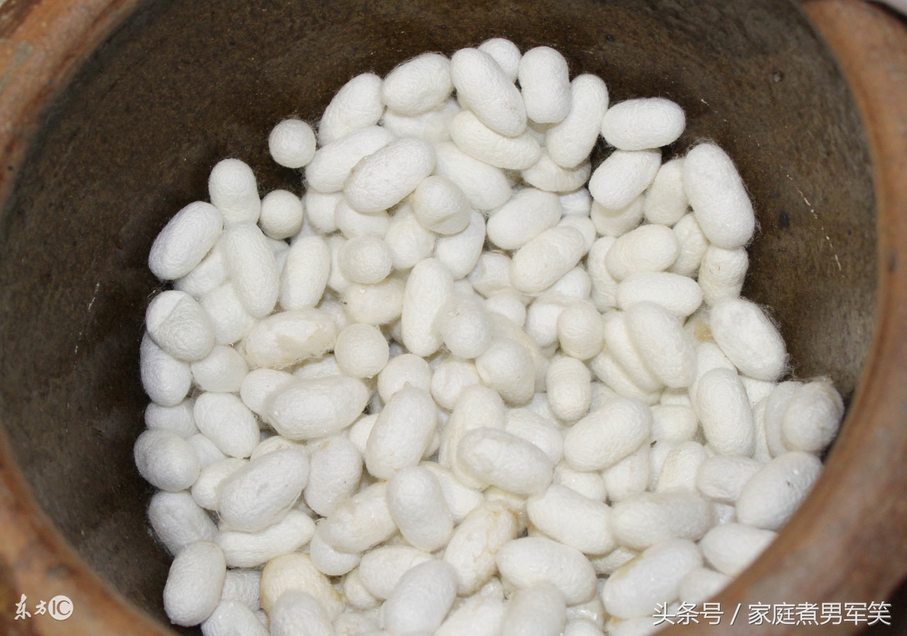 棉花被蚕丝被羊毛被羽绒被哪个好,羊毛被棉花被和蚕丝被哪个好