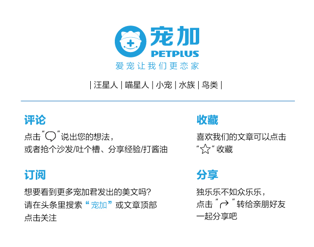 龙猫感冒是什么样子的,龙猫病了怎么处理