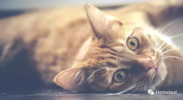 日本空气口罩测评,重松哪一款防尘口罩好用