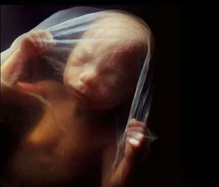 缺氧胎儿的求救信号胎动,胎宝宝的求救信号