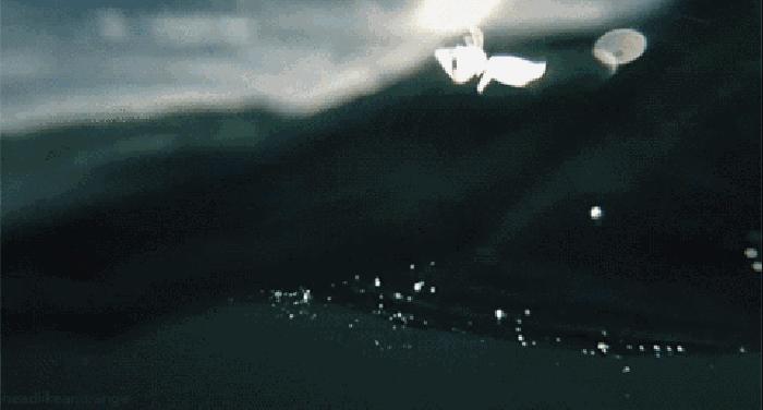 花鸟岛海岛游,花鸟岛海岛旅游