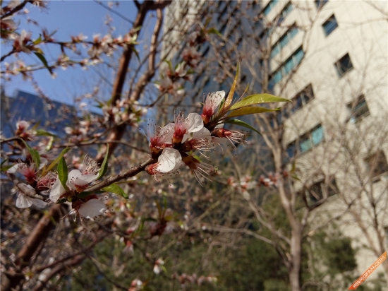 360f4手机高配版,360手机f4值不值得买