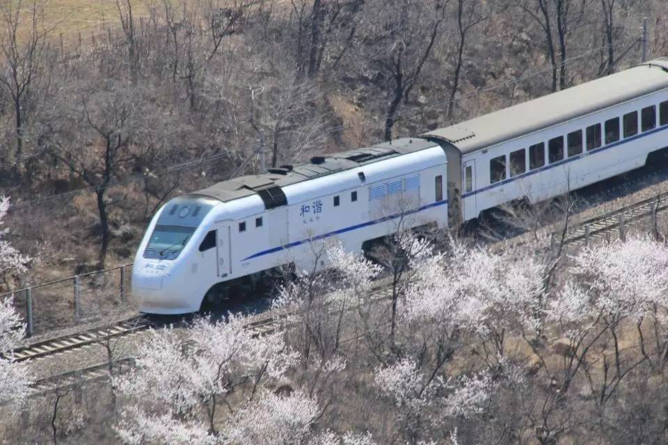 开往春天的列车图片唯美,开往春天的列车看图作文