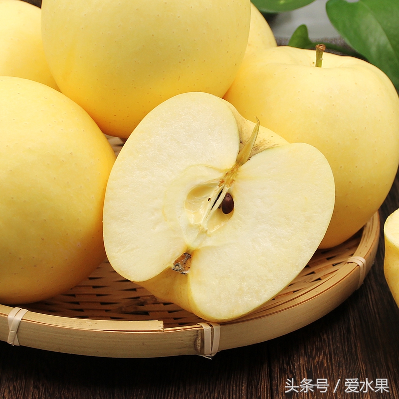 甘肃黄元帅水果,黄元帅水果