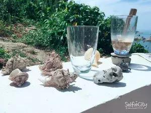 花鸟岛海岛游,花鸟岛海岛旅游