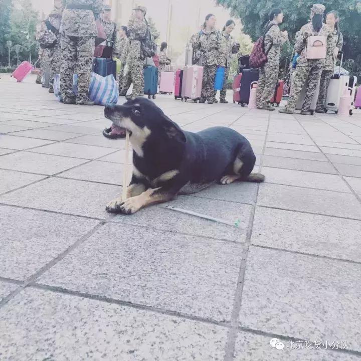 首经贸区最大食堂,北京首经贸第一大食堂