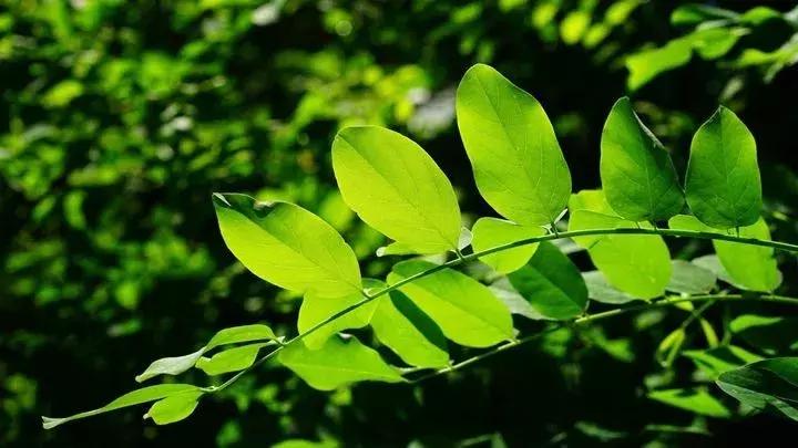 灏忚娣辨按婀剧殑宸ㄨ煉,灏忚娣辨按鎯婇瓊