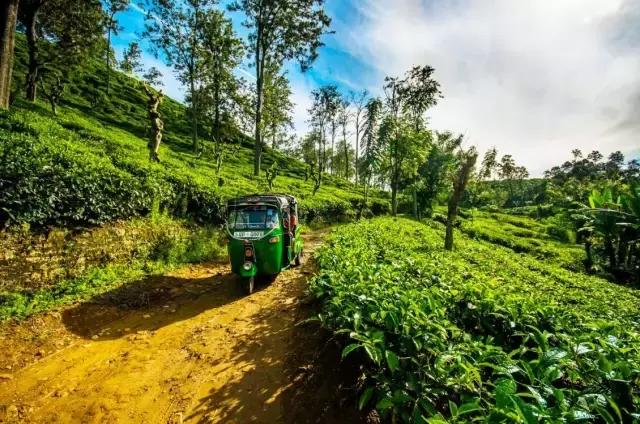 骨灰级海岛自由行签证,骨灰级干货史上最全海岛签证汇总