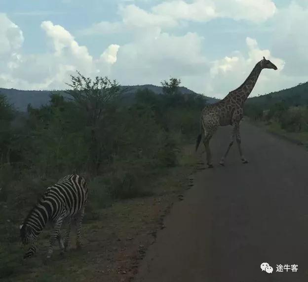 陈大刚动态,陈大刚扎兰屯