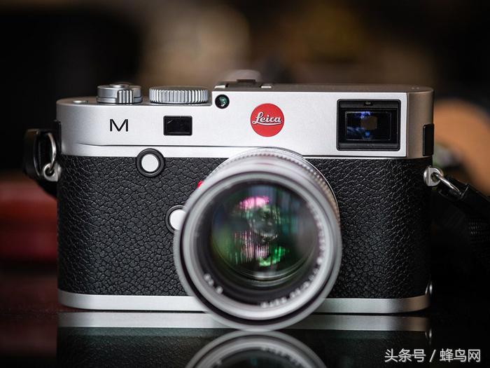 蜂辞典最新视频,蜂辞典摄影效果