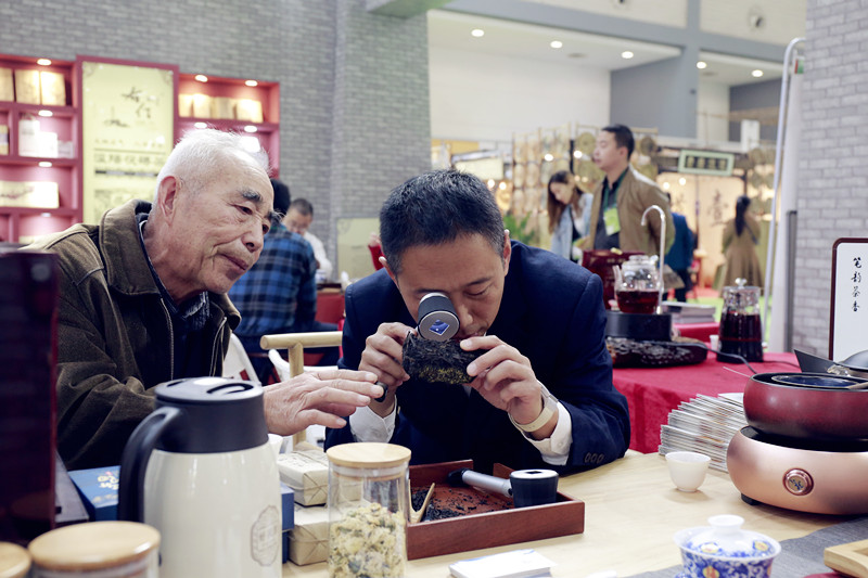 西北国际茶城茶博会,茶文化博览会茶展