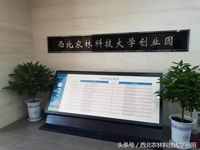 互联网大学生创新创业大赛跨校,全国大学生创新创业互联网大赛